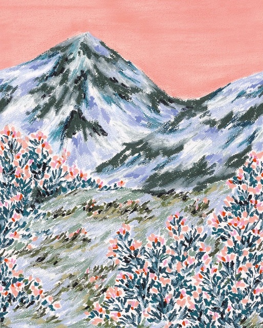 102404075 MULTICOULEURS