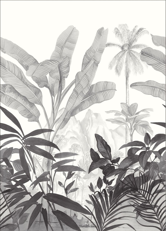 102509001 NOIR ET BLANC