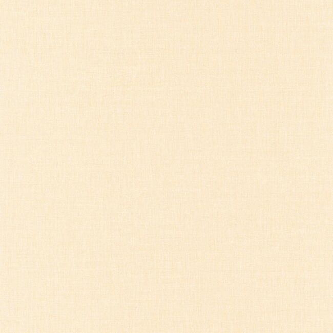 68523000 ORANGE CLAIR