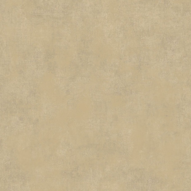 80831265 BEIGE FICELLE