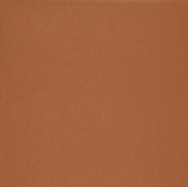 25233307 CUIVRE IRISE