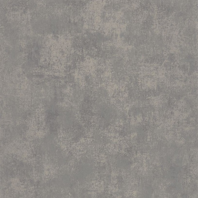 80837436 VERT DE GRIS