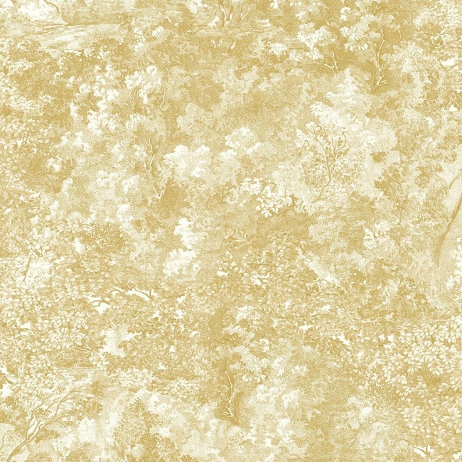 87242248 JAUNE OLIVE