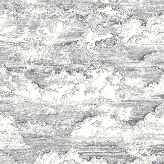 87279907 NOIR GRAVURE