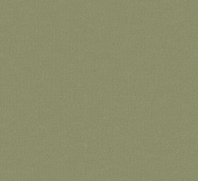 6555 VERDE