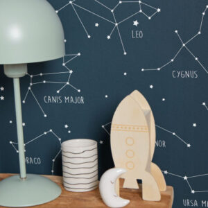 Our Planet Constellations