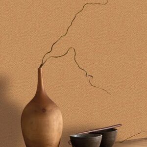 Beauty Full Color Casino