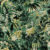 33000 VERDE LIMON