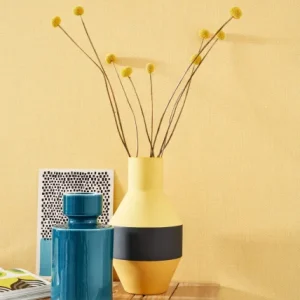 California Denim Lagon