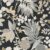 88809696 NOIR REGLISSE