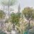 L-105477704 VERT