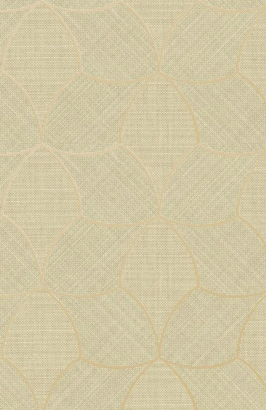 76943364 AMANDE DORÉ