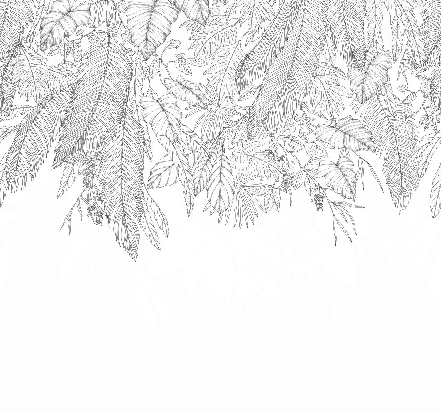 107260908 NOIR ET BLANC
