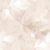 L-202284504V ROSE NUDE