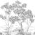 L-202219004NW NOIR FUSAIN